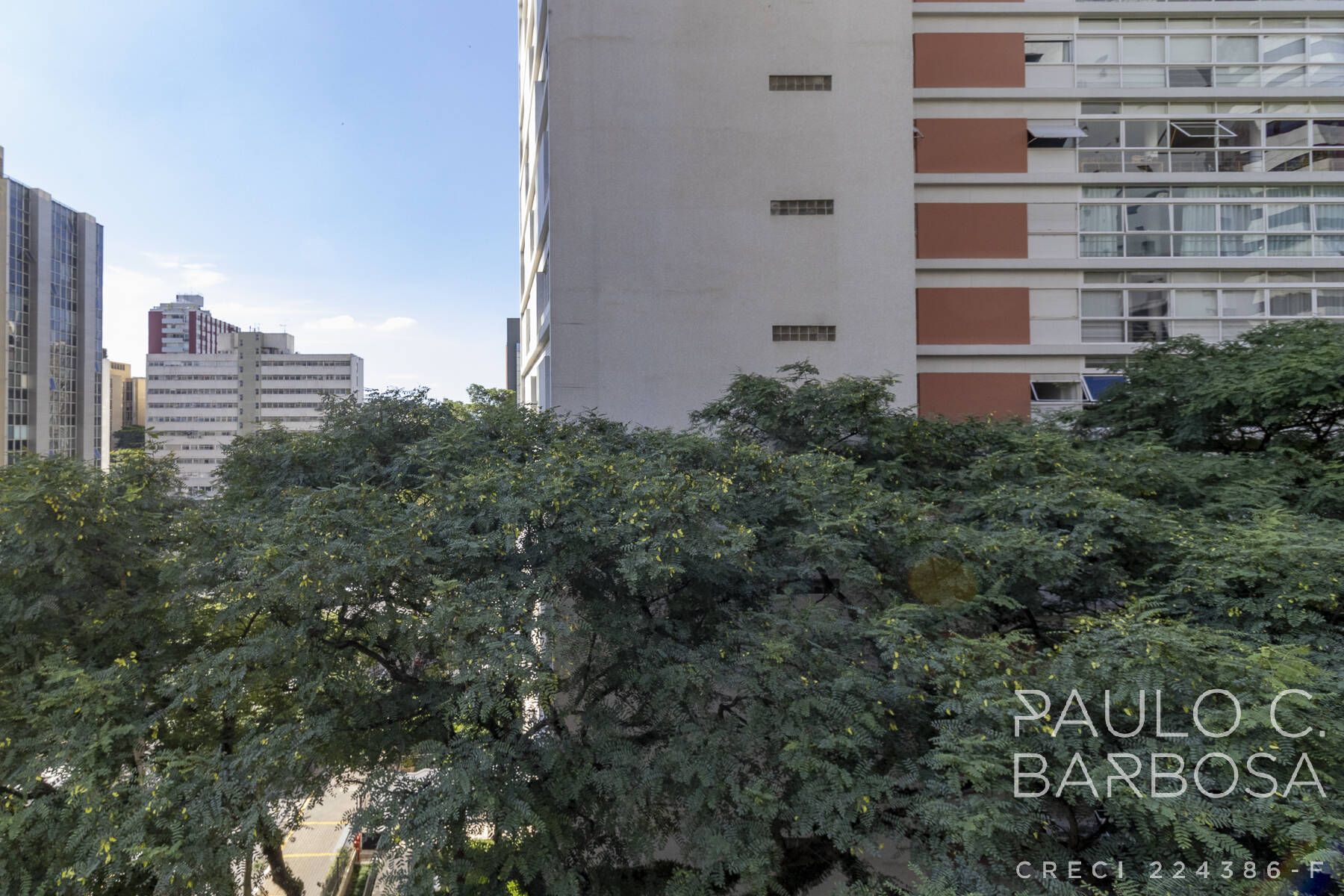 Apartamento, 3 quartos, 202 m² - Foto 13