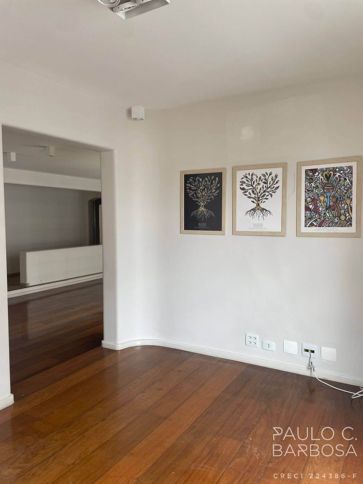 Apartamento, 4 quartos, 252 m² - Foto 6